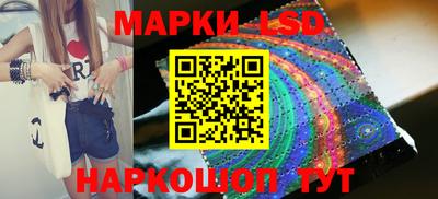 mdpv Ярославль