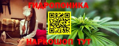 mdpv Ярославль