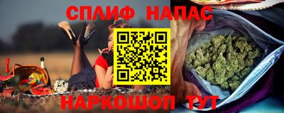 прущие грибы Ярцево