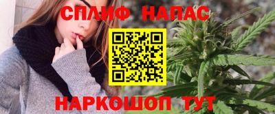 прущие грибы Ярцево