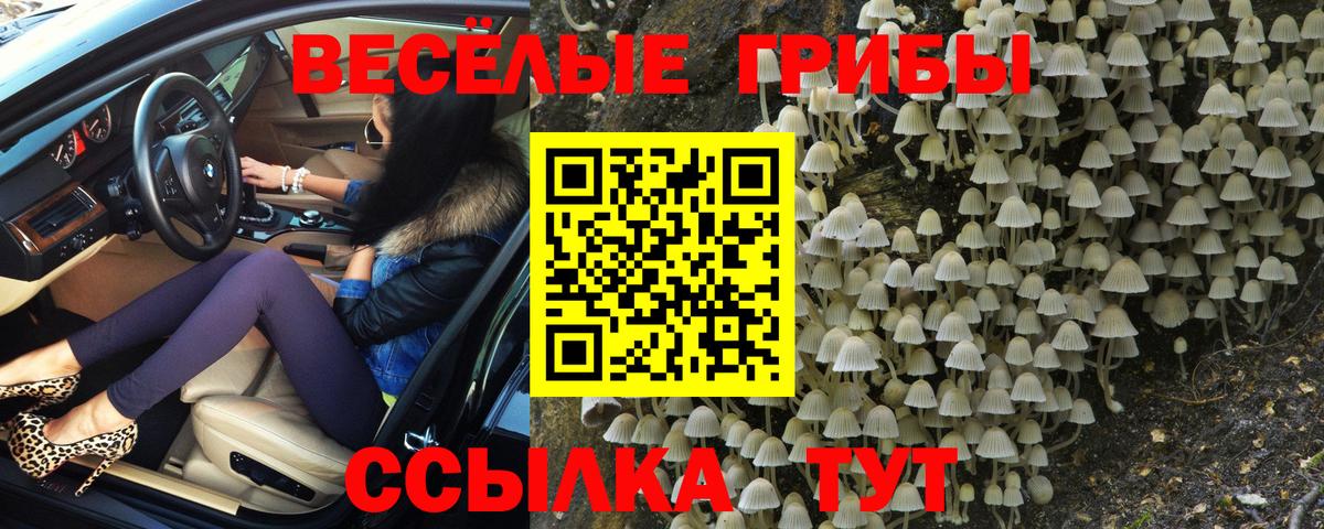Псилоцибиновые грибы мухоморы Старая Купавна