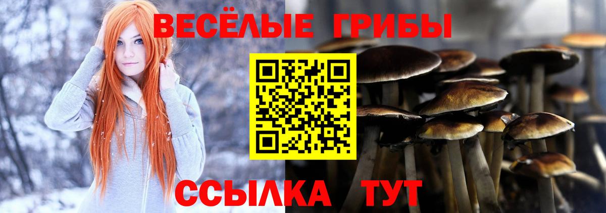 Старая Купавна  дарнет шоп  Вход с VPN  Псилоцибиновые грибы GOLDEN TEACHER 